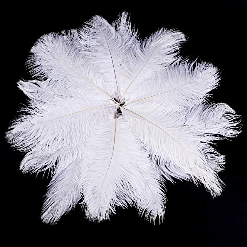 20 Stk. Straußenfeder Strauß Feder 25-30cm Weiss Hochzeit Party Fest Kostüm Deko - 3