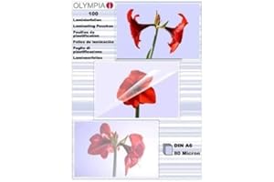 Olympia 9168 Folia do Laminowania, Przezroczysty, 100 Sztuk