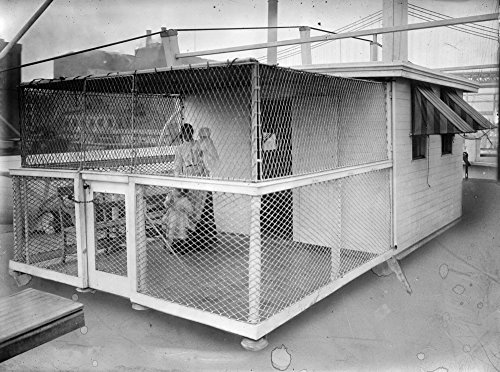 Posterazzi - Colección de pósteres, Varia