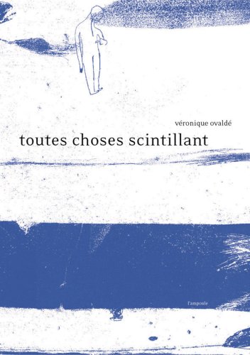 couverture de : Toutes choses scintillant
