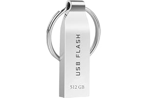 maxineer USB Stick 512GB USB-Sticks Metall USB 3.0 Stick mit Schlüsselband Speicherstick USB Sticks Datenspeicher USB-Flash-Laufwerk für PC/Laptop/Tablet