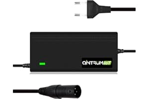 Qintrumiot 42V 3A cargador patinete electrico,cargador hoverboard, Cargador de iones de litio 3A de 36V, Con conector XLR