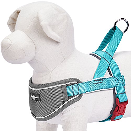 Blueberry-Pet-3M-Reflective-Strips-Nylon-Solid-Color-Neoprene-Padded-AntiNo-pull-Adjustable-Dog-Training-Harness