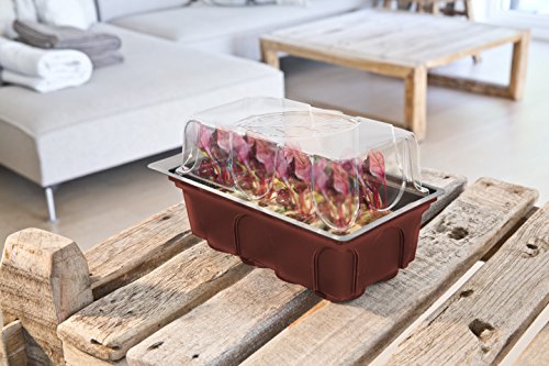 Windhager Zimmer-Gewächshaus Mini inklusiv 8 Quelltabs, terracotta / anthrazit, 11 x 19 x 6 cm, 06842 - 2