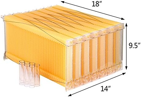 YaeTact 7Pcs Auto Flow Comb Beehive Frames Kit Raw Auto Flow Honey Plastic Flow Honey Beehive Beekeeping with 7 Harvest Tubes (7Pcs)
