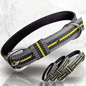 PALLY Pets' Products Padded Nylon Dog Collar with Metal Buckle, Classic Dog Belt (Large)