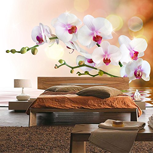 Vlies Fototapete 200×140 cm – Top ! PREMIUM PLUS Foto Tapete ! Wandbilder XXL Wandbild Bild Fototapeten Tapeten Wandtapete Wanddeko Wand Blumen Orchidee Natur – no. 200 - 8