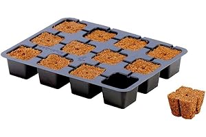 QUEENMEW Eazy Gardening Plug Stecktray - 12 Zellen (20x15cm)