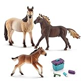  Schleich - Mustang Familie (13805 + 13806 + 13807) + 42366 Pferdepflege