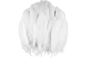 HZKAIS 100 PCS Feathers for Crafts, Natural Goose Feathers,Colorful Goose Feathers,White Feathers for Crafting, Mixed Feathers Coloured for DIY Decoration Dream Catchers Earring Hat Wedding Party(White)