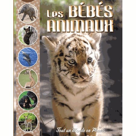 couverture de : Les b&eacute;b&eacute;s animaux