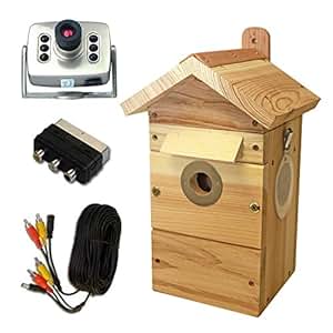 nest bird feeder camera