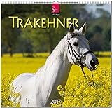 TRAKEHNER - Original Stürtz-Kalender 2017 - Mittelformat-Kalender 33 x 31 cm by 