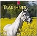 TRAKEHNER - Original Stürtz-Kalender 2017 - Mittelformat-Kalender 33 x 31 cm by 