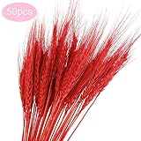 trigo ramo de novia 50 ramas por paquete. Tamaño: tallo de flor de 65 cm, espiga de 6 cm.