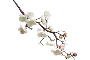 GREENSTORE Flores artificiales falsas, 5 piezas de flores de seda de cerezo, ciruela, melocotón, rama, flor de seda, para decoración del hogar, boda (60 cm)