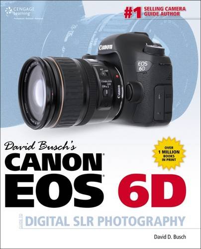 Télécharger David Busch's Canon EOS 6D Guide to Digital SLR Photography Gratuit