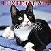Produktbild Just Tuxedo Cats 2019 Wall Calendar