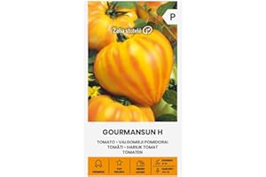 ŽALIA STOTELĖ Zalia stotele | TOMATE - GOURMANSUN H Semillas | Semillas de Hortalizas | Semillas Tomate | semillas de plantas | semillas de jardín | 1 paquete