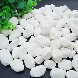 WAYBER 2 Lb/910g White Stones Decorative Pebble Rock Sand for Aquarium/Fish Turtle Tank/Vase Filler/Succulent Plants Decoration (Fill 2 Cups)