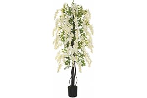 GENERICO Vivaio Garden Forest Wisteria Floribunda “Longissima Alba”, Glicine Bianco, Pianta Rampicante Fiori, Fiori profumati, Pergolati, Balconi, Coltivazione in vaso, Pianta vera