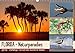FLORIDA - Naturparadies (Wandkalender 2019 DIN A3 quer): Vielfältige Tierwelt der Halbinsel Florida (Monatskalender, 14 Seiten ) (CALVENDO Tiere) by
