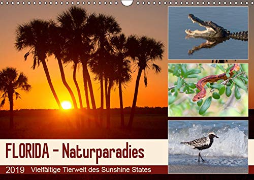 FLORIDA - Naturparadies (Wandkalender 2019 DIN A3 quer): Vielfältige Tierwelt der Halbinsel Florida (Monatskalender, 14 Seiten ) (CALVENDO Tiere)