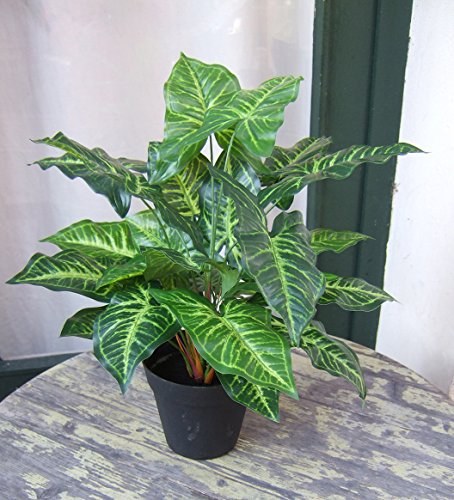 Künstliche Nephthytis Pflanze getopft ca. 45cm Top Qualität - 4