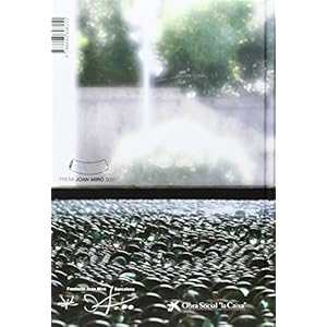 Mona Hatoum Projeccio