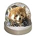 Produktbild Advanta Rot Panda Bär Schneekugel Snow Dome Geschenk, Mehrfarbig, 9,2 x 9,2 x 8 cm