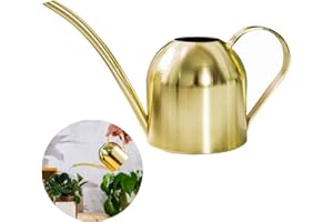 HGGZEG Arrosoir en acier inoxydable, petit pot d'arrosage à long goulot pour maison, intérieur, extérieur, jardin, plantes succulentes, 500 ml (doré)