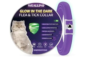 WEALLIN Lumineux Traitement Contre Les puces, Collier Anti Puces pour Chat Imperméable et Réglable, Naturelles et Efficace Protection 8 Mois pour Les Chatons de Toutes Tailles, Violet (1 Paquet)
