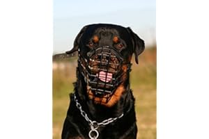 CHAMPION POUR L&J PETS UK Muselière pour chien Champion pour races de type Rottweiler, Mastiff R2 …