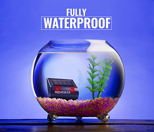 ORIGINAL Aspectek Predetor Eye PRO, MARDERSCHRECK, VOGELSCHRECK, Räubtier u. Fressfeind LED Augen zum ABSCHRECKEN VÖGEL, WILDTIERE, KATZEN, MARDER, HIRSCHE u. MÄUSE für GARTEN, BALKON u. TERASSE - 7