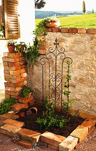 Rankhilfe „Schwertlilie“ Metall, dunkelbraun lackiert in trendiger Rostoptik, aufwändig gearbeitet mit Rankenmuster 36 x 117 cm - 4
