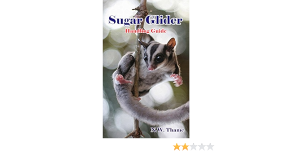 sugar glider handling