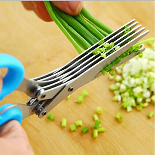 Edealing 1 PCS New Stainless Steel Scallion Frühlingszwiebel Gemüse Shredder Hobel Cutter 5 scharfen Klingen