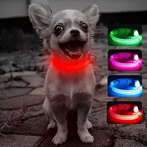 Domi LED Dog Collar, USB Rechargeable Light Up Collar for Small Dogs and Cats, Glowing in Dark, Reflective Collar Keep Your Puppy Be Seen& Safe(XS, Red)