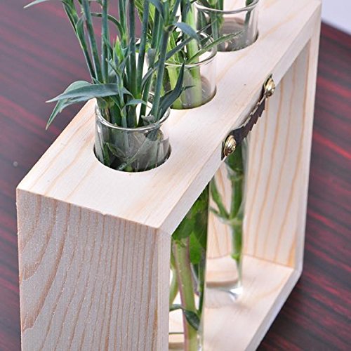 MagiDeal Kristall Reagenzglas Glas Vase In Holzständer Wand Hängen Für Blumen Pflanzen - 5