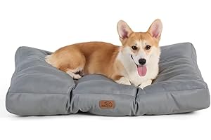 Bedsure Panier Chien Moyenne Taille Imperméable - Coussin Chien de Tissu Oxford, Tapis Idéal pour Chien M, Matelas Lit Chien Lavable, Gris, 75x50x10cm