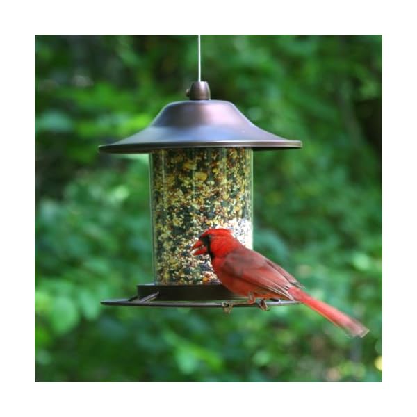 Perky-Pet Mangiatoia Panorama Piccola per Uccelli da 900 g Color Marrone Rustico / 312