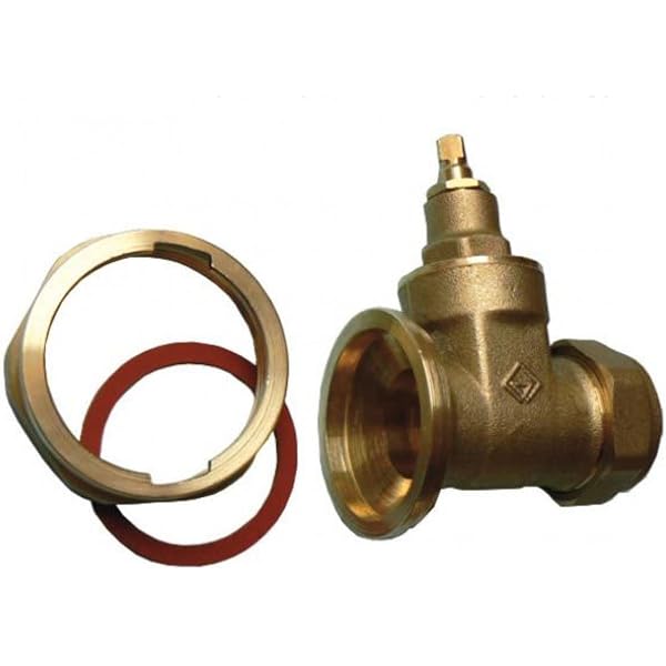 22mm Gate Type Pump Valve - Pack of 2 : Amazon.co.uk: DIY u0026 Tools