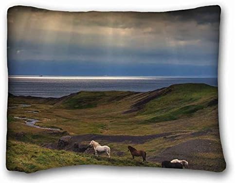 Custom Cotton &amp; Polyester Soft Animal Pillowcase Standard Size 20"X26" Design Pillow Case Cover suitable for Twin-bed