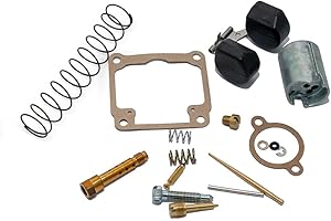 BESTPRICE Juego de reparación para carburador DellOrto PHBG de 21 mm