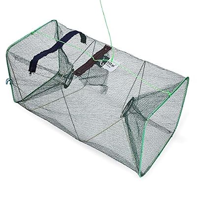 Zite Fishing Filet de Pêche pour Appâts Vivants - 55x25cm Pliable - Pour Poissons Crevettes Ménés Ecrevisses Crabes