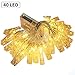 Produktbild Manli Foto Lichterkette 40 Leds Fotoclips Fernbedienung Lichterketten Batteriebetiebene Stimmungsbeleuchtung Dekoration für Hängendes Foto Kunstwerke Foto Clips Weihnachten Hochzeit Party (Warmweiß)