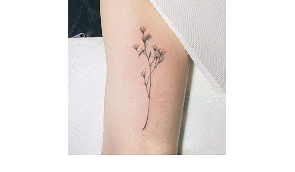 Zzebra Monochrome Waterproof Temporary Tattoo Sticker Sexy Baby S Breath Flower Tattoo Flower Birds Gun Feather Water Transfer Fake Flash Tattoo Amazon In Beauty Zzebra Monochrome Waterproof Temporary Tattoo Sticker Sexy Baby S Breath Flower Tattoo Flower Birds Gun Feather Water Transfer Fake Flash Tattoo Amazon In Beauty