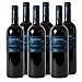 Produktbild Primitivo IGT Salento rosso Apulien Rotwein Italien 2016 trocken (6x 0.75 l)