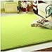 Produktbild DADAO Teppich Wohnzimmer Teppich Rechteck Shaggy Teppich Anti-Rutsch-teppiche Sind geeignet für Alle hartböden, Ihren Teppich sicher ist sicher und im Ort-grün 60x120cm(24x47inch)