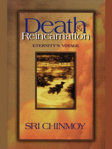 Death and Reincarnation: Eternity's Voyage (English Edition) livre